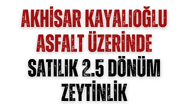 Akhisar Kayalıoğlu Asfalt Üzerinde Satılık 2.5 Dönüm Zeytinlik