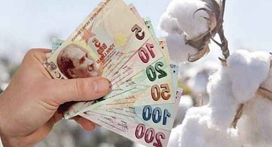 Tarımsal destekler bugün ödenmeye başlıyor