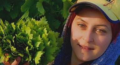 Taze Asma Yaprağı Alımları Başladı
