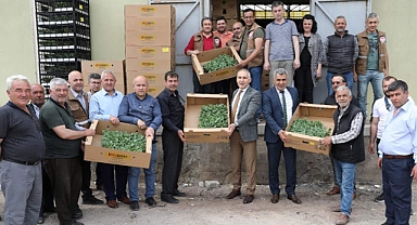 Akhisarlı çiftçilere yüzde 50 hibeli fide dağıtıldı