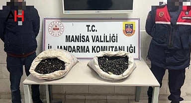 Akhisar Jandarma, Hırsızlık Olaylarına Karşı Etkin Müdahalede Bulunuyor
