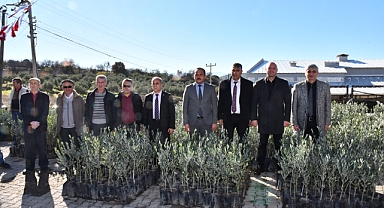 Üreticinin Fidanları Büyükşehir'den