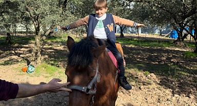 Dıgıdık ve Tıfıllar Zeytin Ormanında