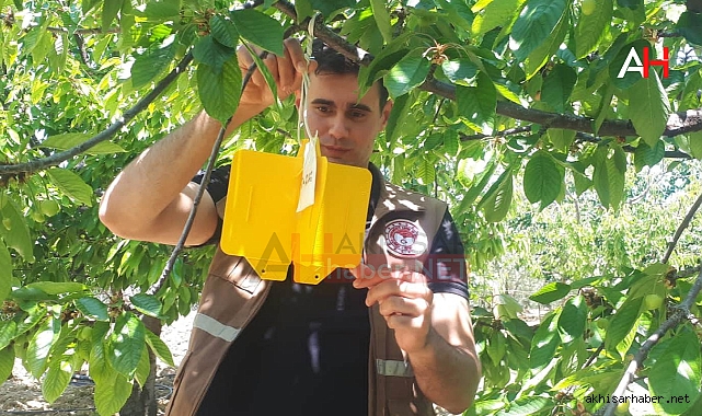 Arabacıbozköy ve Büknüş'te Tarımsal Kontroller Devam Ediyor