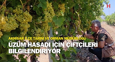 Akhisar İlçe Tarım ve Orman Müdürlüğü, Üzüm Hasadı İçin Çiftçileri Bilgilendiriyor