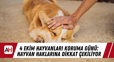 4 Ekim Hayvanları Koruma Günü: Hayvan Haklarına Dikkat Çekiliyor