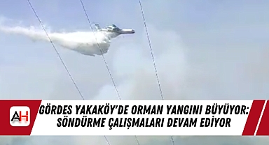 Gördes Yakaköy'de Orman Yangını Büyüyor: Söndürme Çalışmaları Devam Ediyor