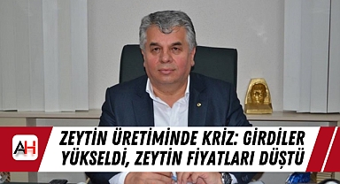 Zeytin Üretiminde Kriz: Girdiler Yükseldi, Zeytin Fiyatları Düştü