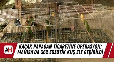 Kaçak Papağan Ticaretine Operasyon: Manisa'da 362 Egzotik Kuş Ele Geçirildi