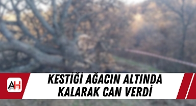 Kestiği ağacın altında kalarak can verdi