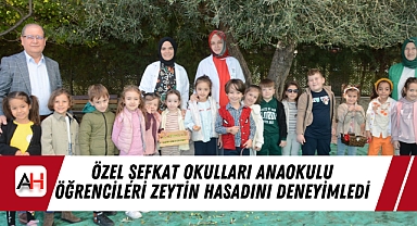 Özel Şefkat Okulları Anaokulu Öğrencileri Zeytin Hasadını Deneyimledi