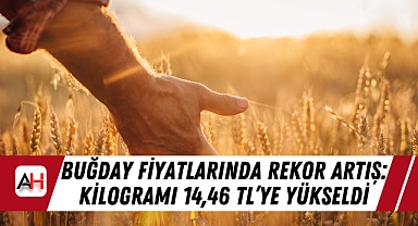 Buğday Fiyatlarında Rekor Artış: Kilogramı 14,46 TL'ye Yükseldi