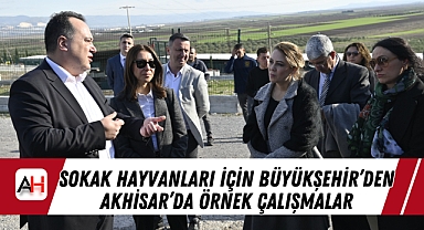 Sokak Hayvanları İçin Büyükşehir'den Akhisar'da Örnek Çalışmalar