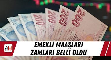 TÜİK Aralık Ayı Enflasyon Rakamlarını Açıkladı: Emekli Maaşlarına Zam Geldi