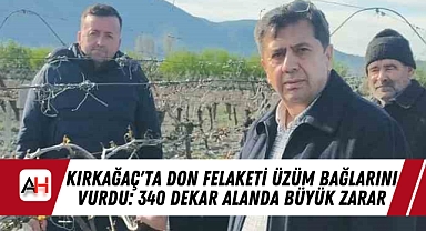Kırkağaç'ta Don Felaketi Üzüm Bağlarını Vurdu: 340 Dekar Alanda Büyük Zarar