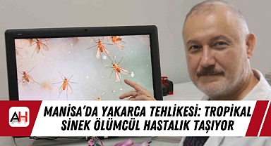 Manisa'da Yakarca Tehlikesi: Tropikal Sinek Ölümcül Hastalık Taşıyor