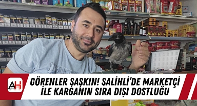 Görenler Şaşkın! Salihli'de Marketçi ile Karganın Sıra Dışı Dostluğu
