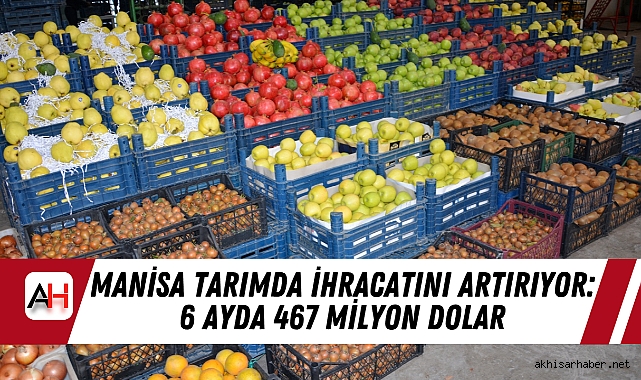 Manisa Tarımda İhracatını Artırıyor: 6 Ayda 467 Milyon Dolar