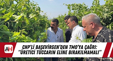 CHP'li Başevirgen'den TMO'ya Çağrı: "Üretici Tüccarın Eline Bırakılmamalı"