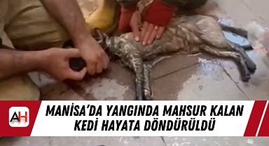 Manisa’da Yangında Mahsur Kalan Kedi Hayata Döndürüldü