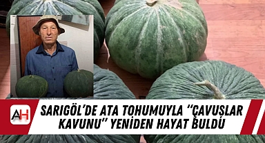 Sarıgöl'de Ata Tohumuyla "Çavuşlar Kavunu" Yeniden Hayat Buldu