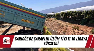 Sarıgöl’de Şaraplık Üzüm Fiyatı 16 Liraya Yükseldi