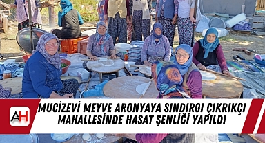 Mucizevi Meyve Aronyaya Sındırgı Çıkrıkçı Mahallesinde Hasat Şenliği Yapıldı