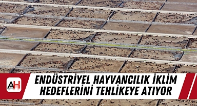 Endüstriyel Hayvancılık İklim Hedeflerini Tehlikeye Atıyor