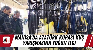 Manisa'da Atatürk Kupası Kuş Yarışmasına Yoğun İlgi