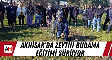 Akhisar'da Zeytin Budama Eğitimi Sürüyor