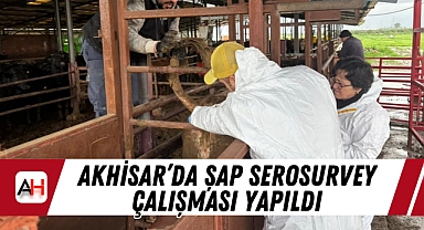 Akhisar'da Şap Serosurvey Çalışması Yapıldı