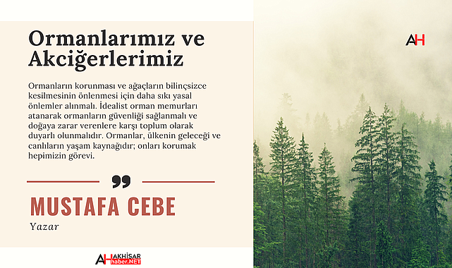 Ormanlarımız ve Akciğerlerimiz