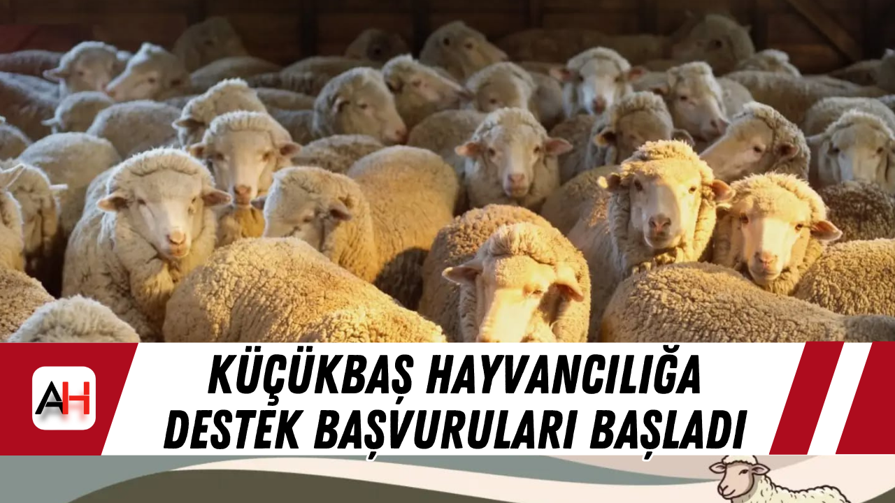 Otomatik Taslak