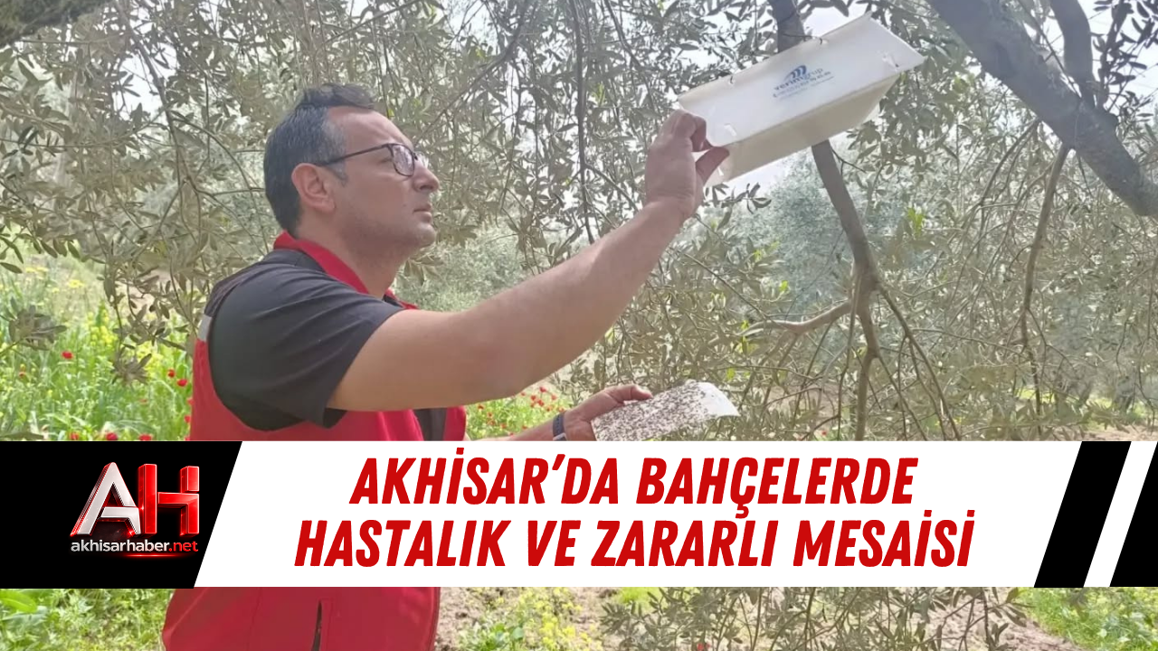 Akhisar’da Bahçelerde Hastalık Ve Zararlı Mesaisi
