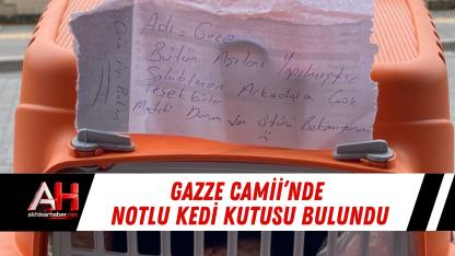Gazze Camii’nde Notlu Kedi Kutusu Bulundu