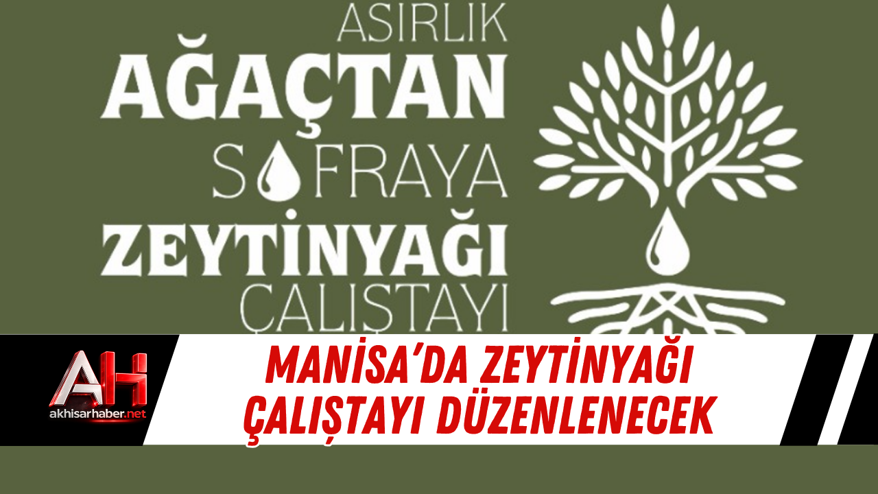 Manisa’da Zeytinyağı Çalıştayı Düzenlenecek