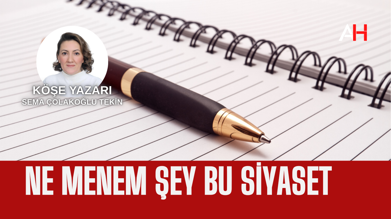 Ne Menem Şey Bu Siyaset