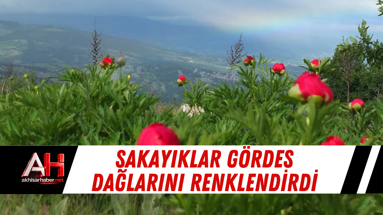 Şakayıklar Gördes Dağlarını Renklendirdi