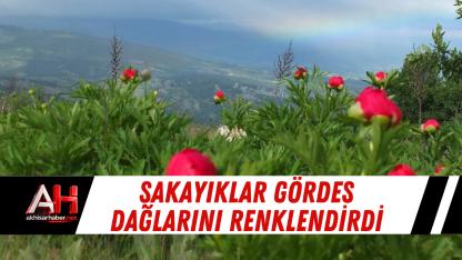 Şakayıklar Gördes Dağlarını Renklendirdi