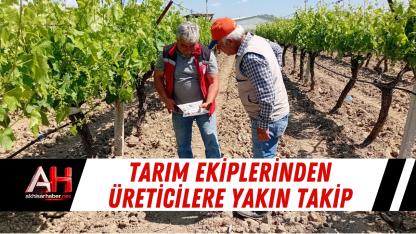 Tarım Ekiplerinden Üreticilere Yakın Takip