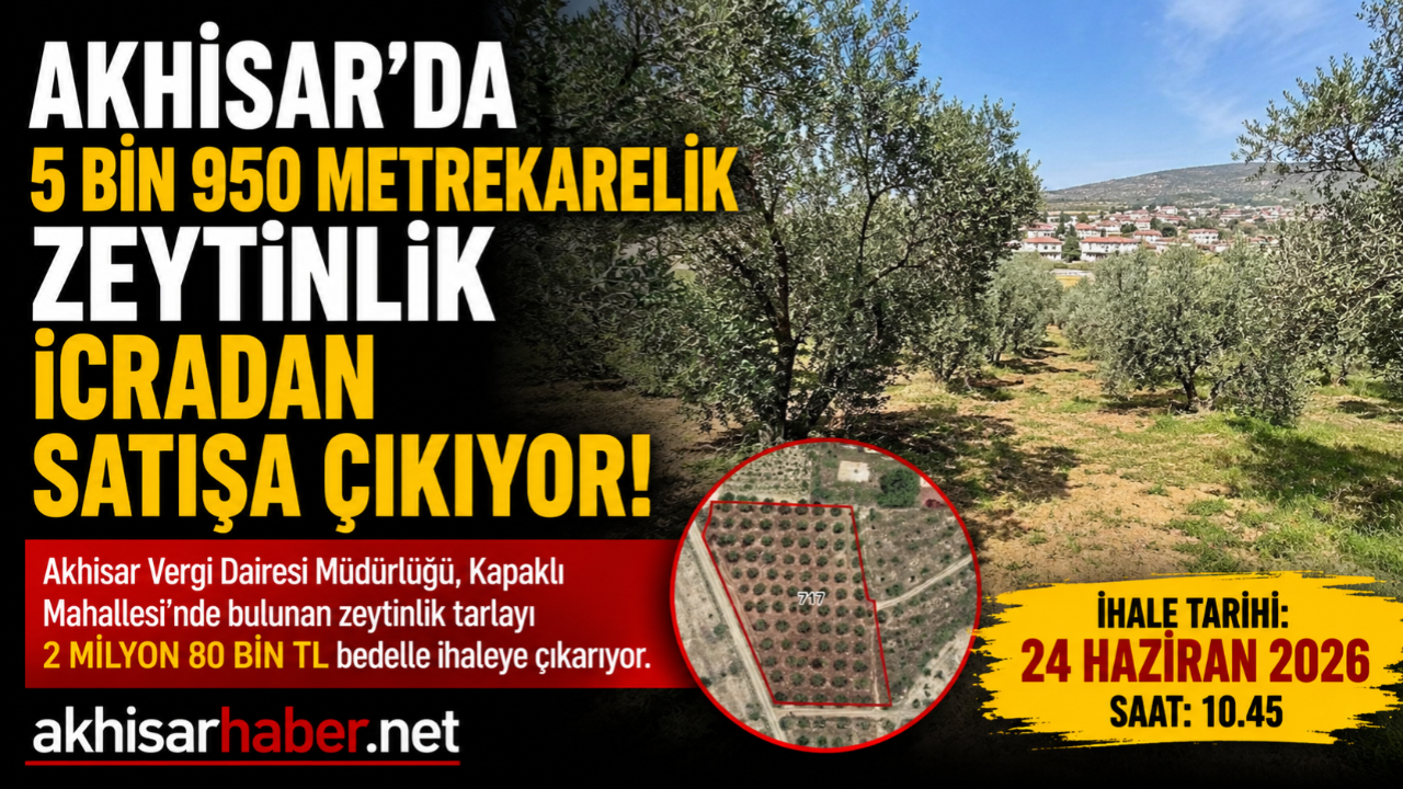Akhisar'da 5 Bin 950 Metrekarelik Zeytinlik İcradan Satışa Ç