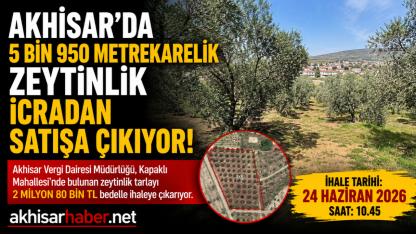 Akhisar'da 5 Bin 950 Metrekarelik Zeytinlik İcradan Satışa Çıkıyor