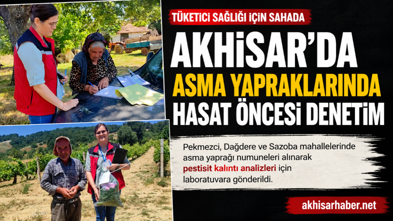 Akhisar’da Asma Yapraklarında Hasat Öncesi Denetim