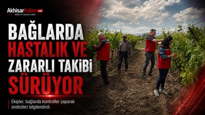 Bağlarda Hastalık ve Zararlı Takibi Sürüyor