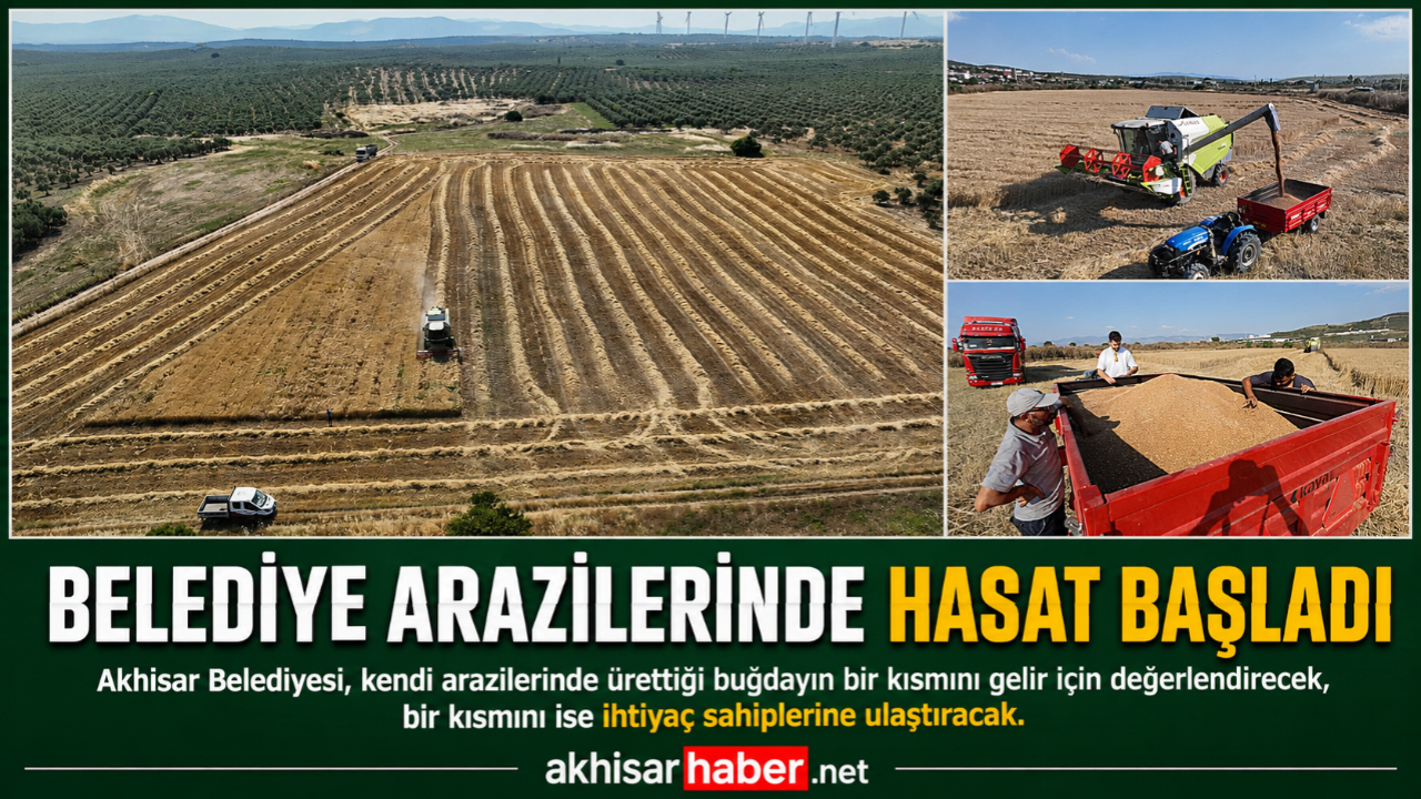 Belediye Arazilerinde Hasat Başladı