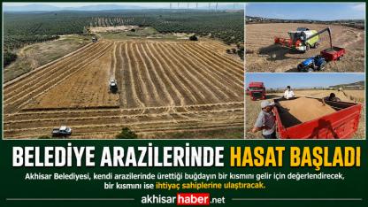 Belediye Arazilerinde Hasat Başladı
