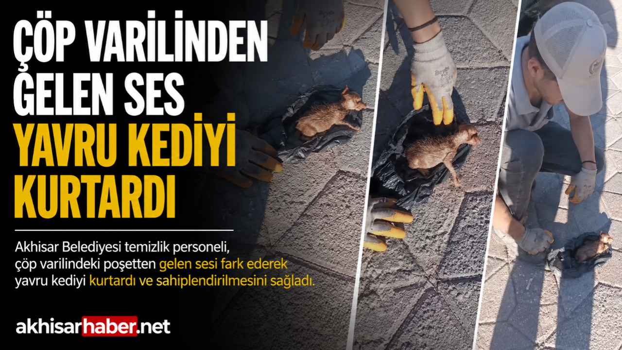 Çöp Varilinden Gelen Ses Yavru Kediyi Kurtardı