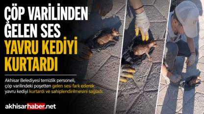 Çöp Varilinden Gelen Ses Yavru Kediyi Kurtardı