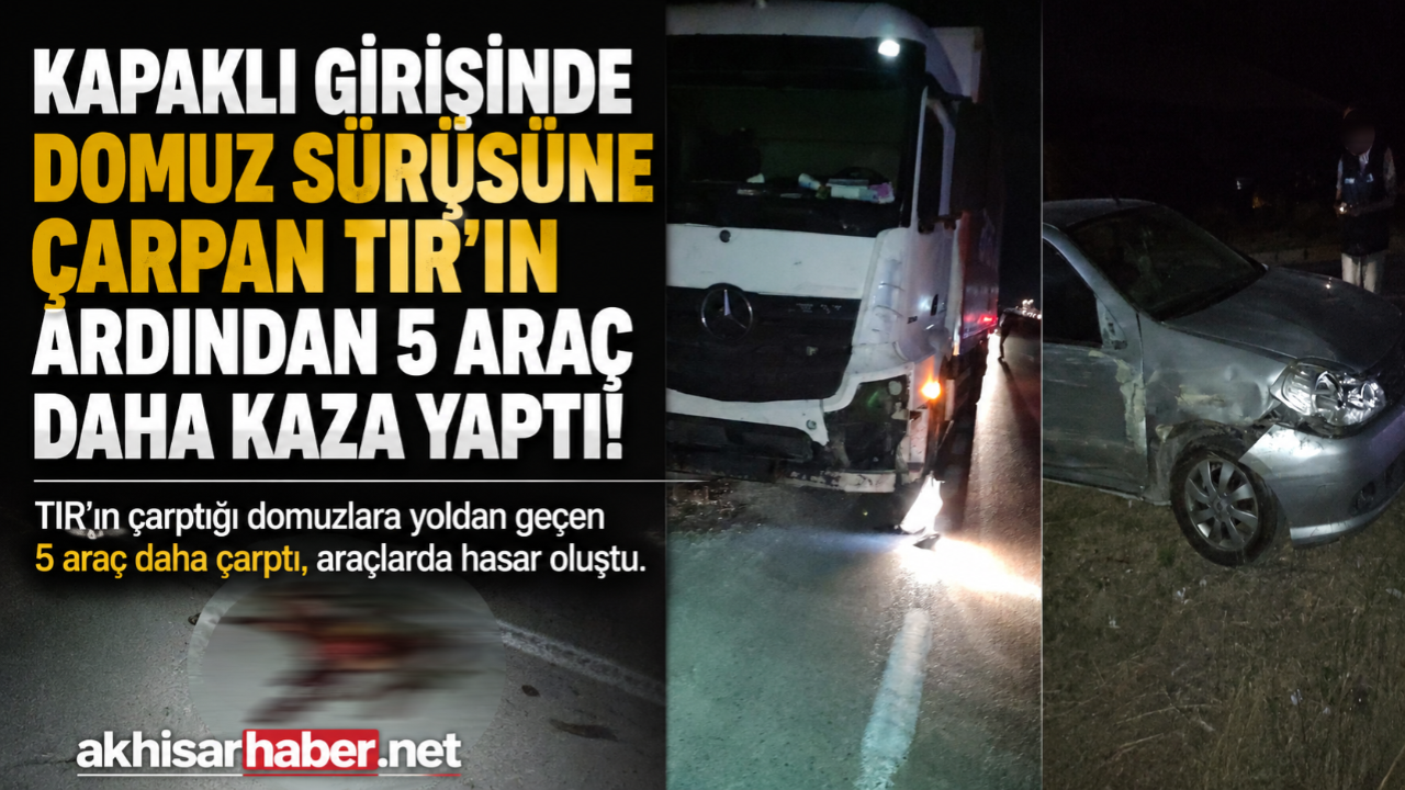Kapaklı Girişinde Domuz Sürüsüne Çarpan TIR Zincirleme Hasara Neden Oldu