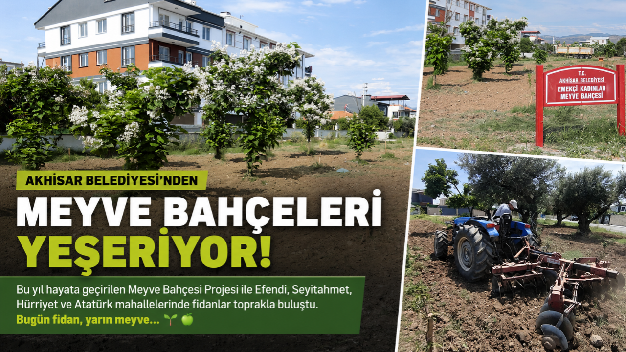 Meyve Bahçelerinde İlk Hasat Heyecanı